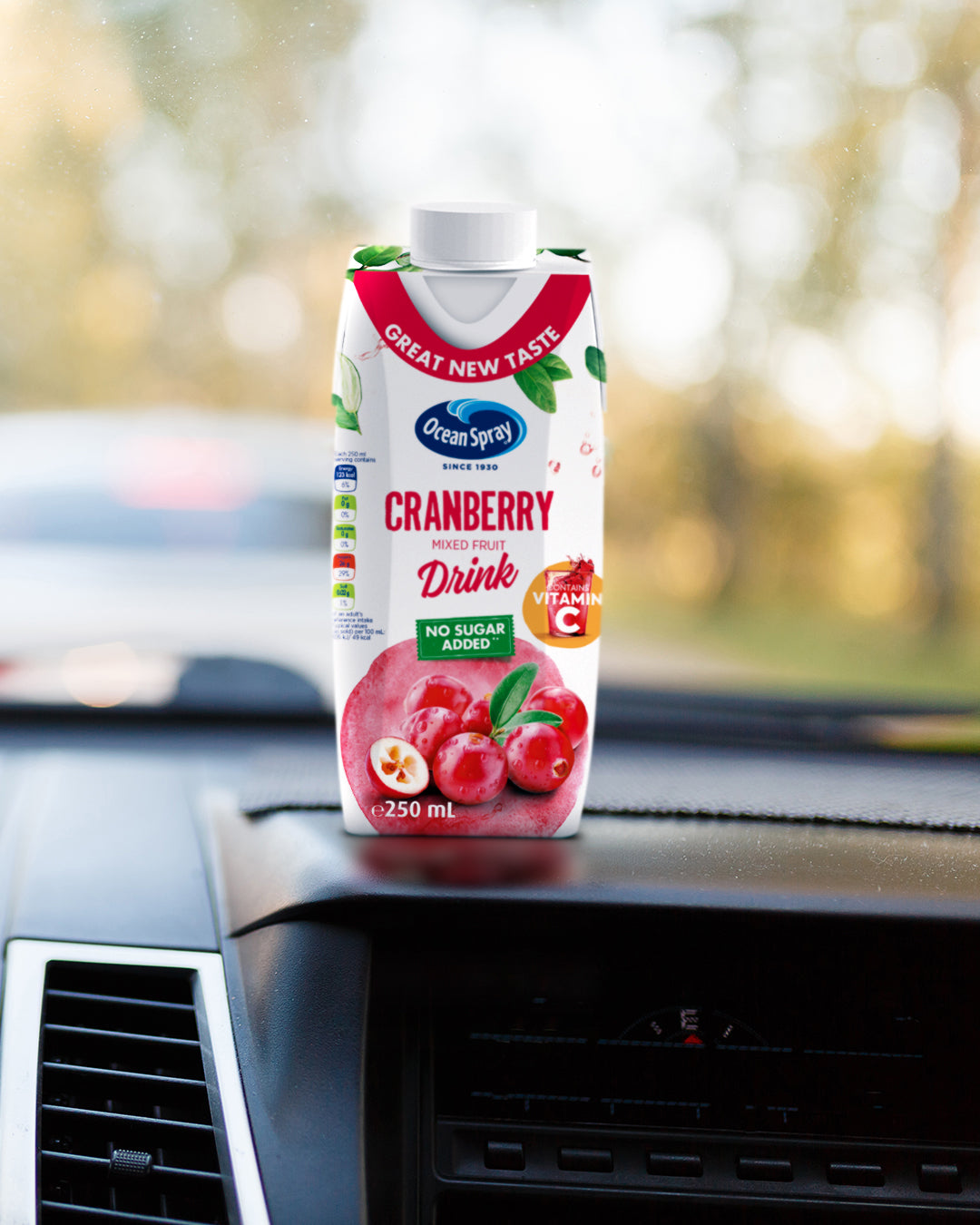 Ocean Spray Cranberry Fruit Drink No Sugar Added, 250ml, Pack of 6