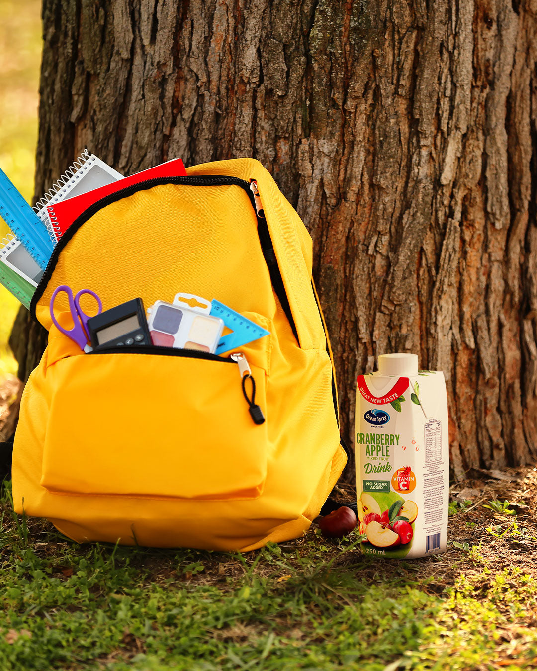 Ocean Spray Cranberry Apple Mixed Fruit Drink No Sugar Added, 250ml ,Pack of 6