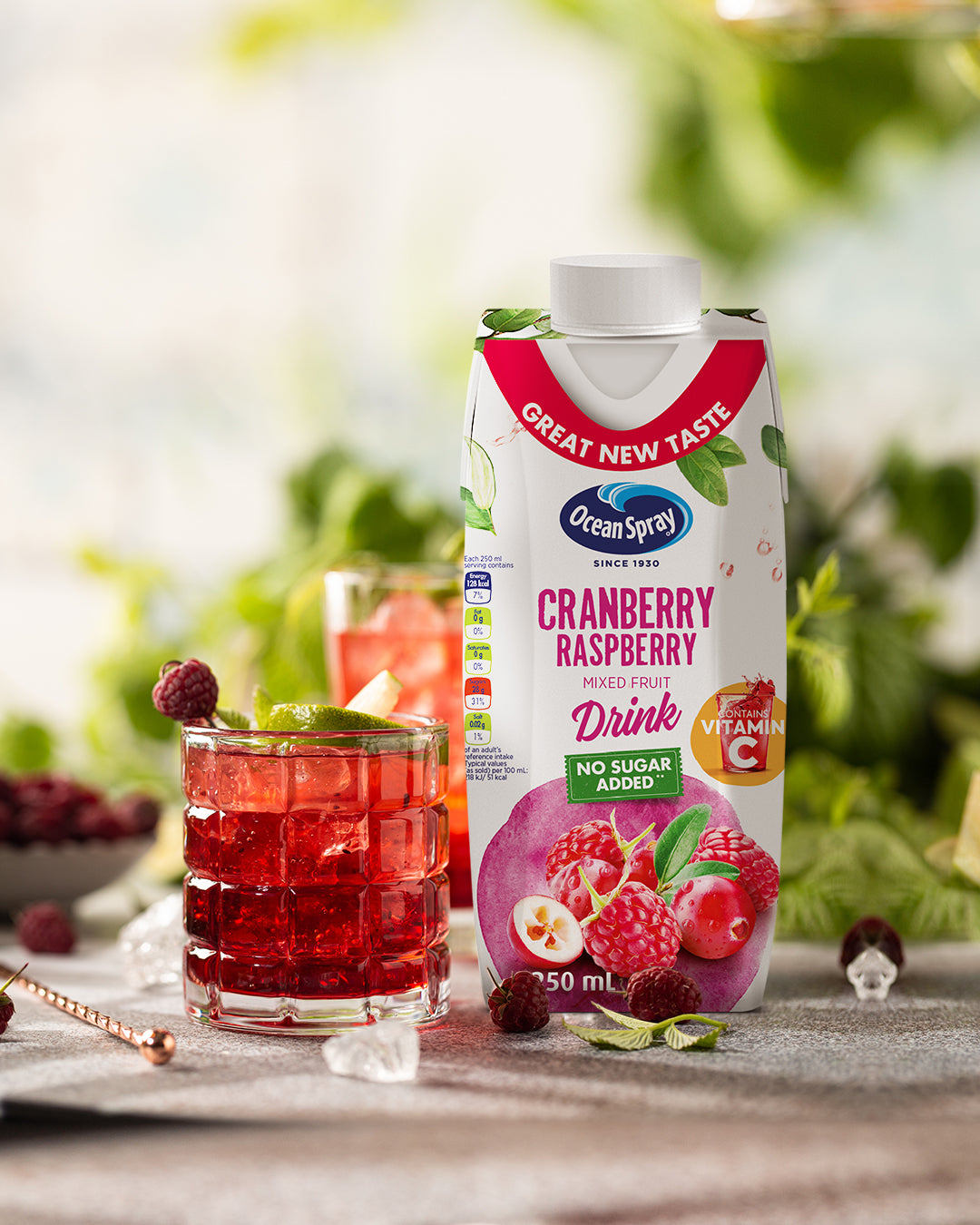 Ocean Spray Cranberry Raspberry Mixed Fruit Drink No Sugar Added, 250ml, Pack of 6
