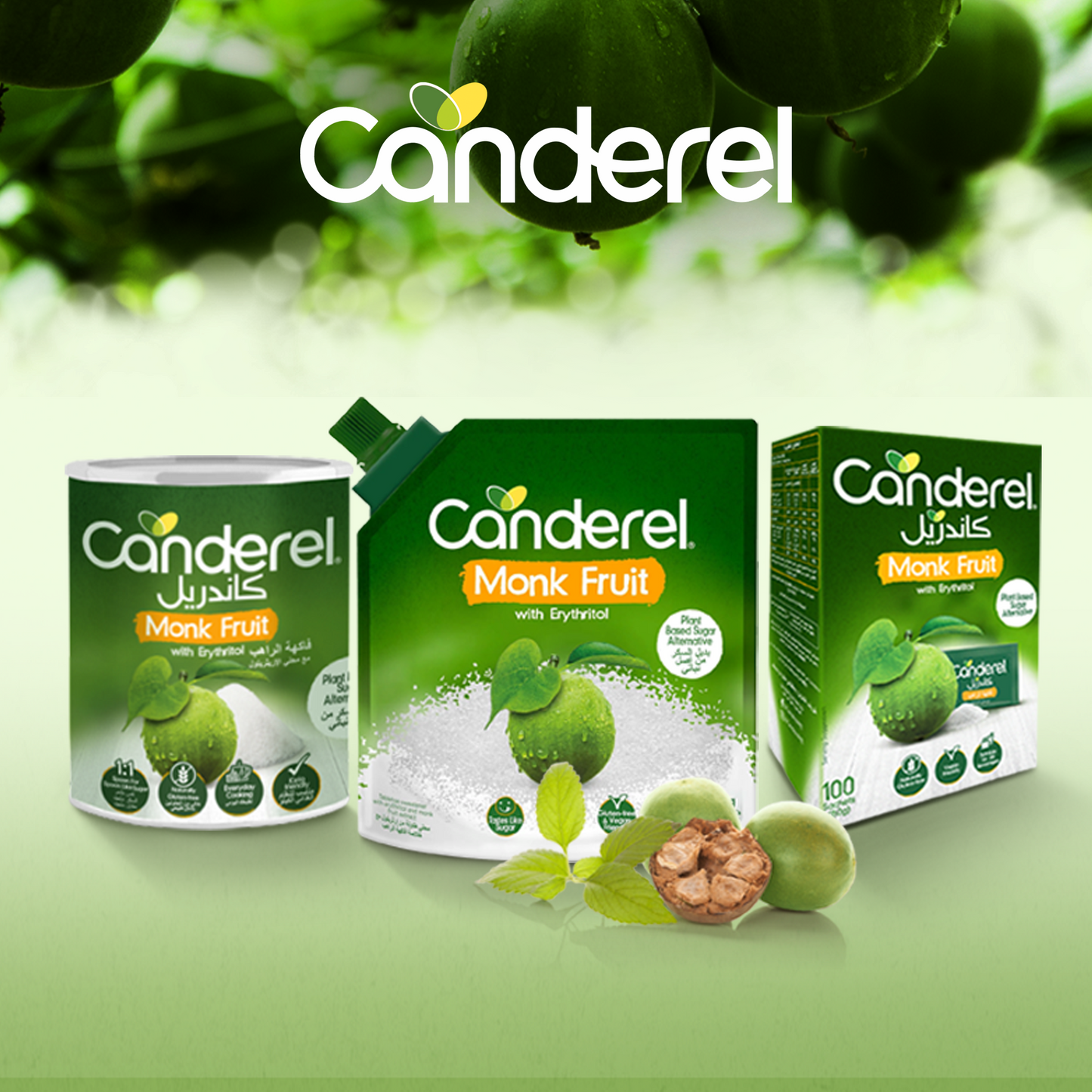 Canderel Monk Fruit With Erythritol Canister 500gm