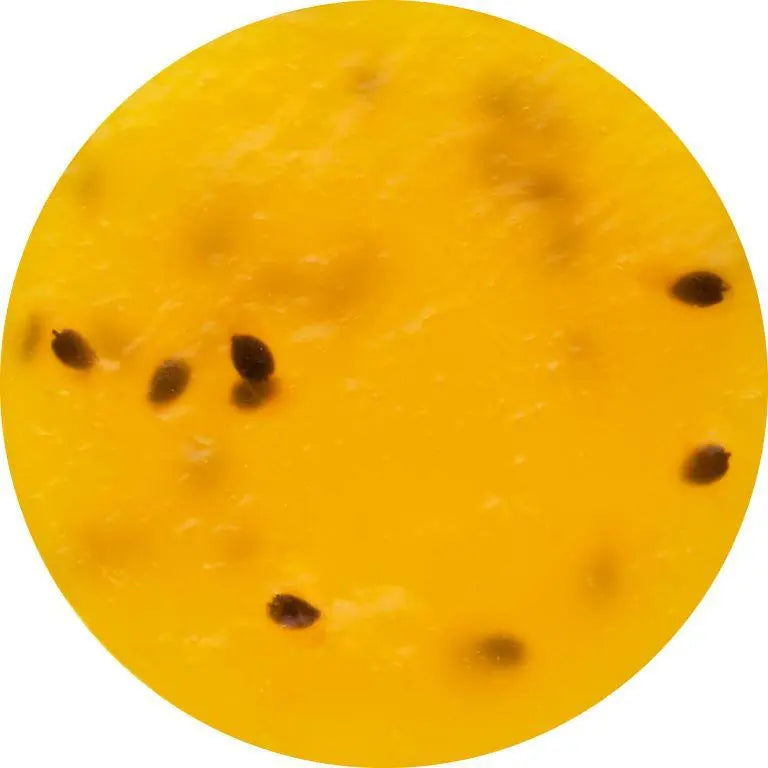 Bakbel Pastryfill 25% Passion fruit with seeds 5Kg, Fruit Spread Bakbel