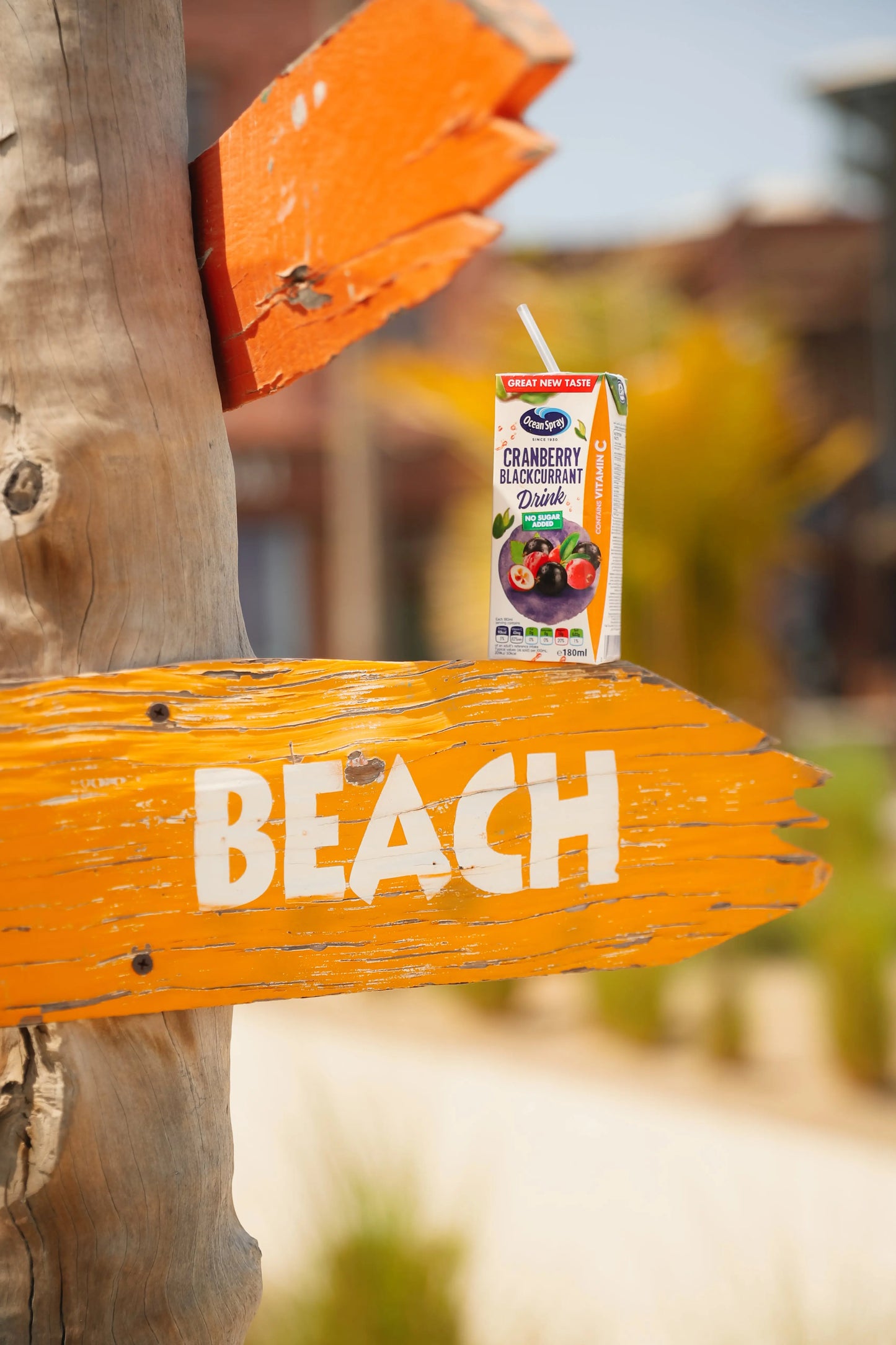 Ocean Spray Cranberry And Blackcurrant No Sugar Juice Drink 180ml Ocean Spray