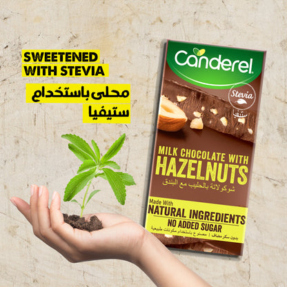 Canderel Milk Chocolate With Hazelnuts, No Added Sugar 75gm