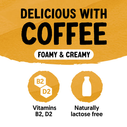 Alpro Barista Oat Caramel 750ml, 100% Plant Based And Dairy Free, Suitable For Vegans, Naturally Free From Lactose, Rich In Nutrients