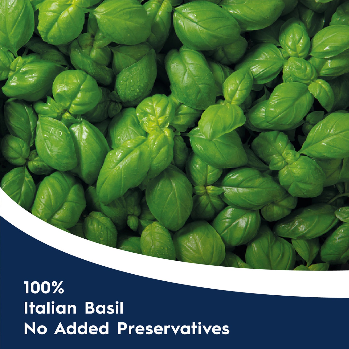 Barilla Pesto Genovese Pasta Sauce with Fresh Italian Basil 190g