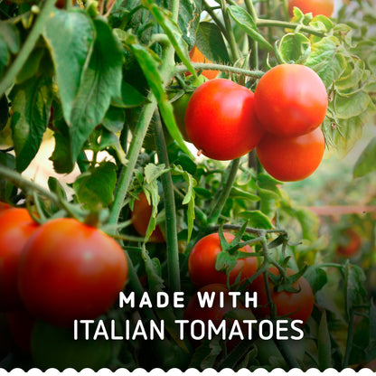 Barilla Pesto Pomodori Secchi Pasta Sauce with Italian Sun-Dried Tomatos 200g