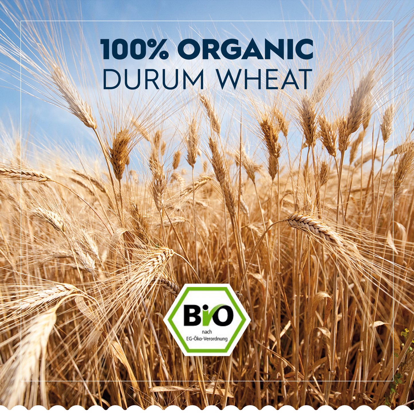 Barilla Spaghetti Bio 500g