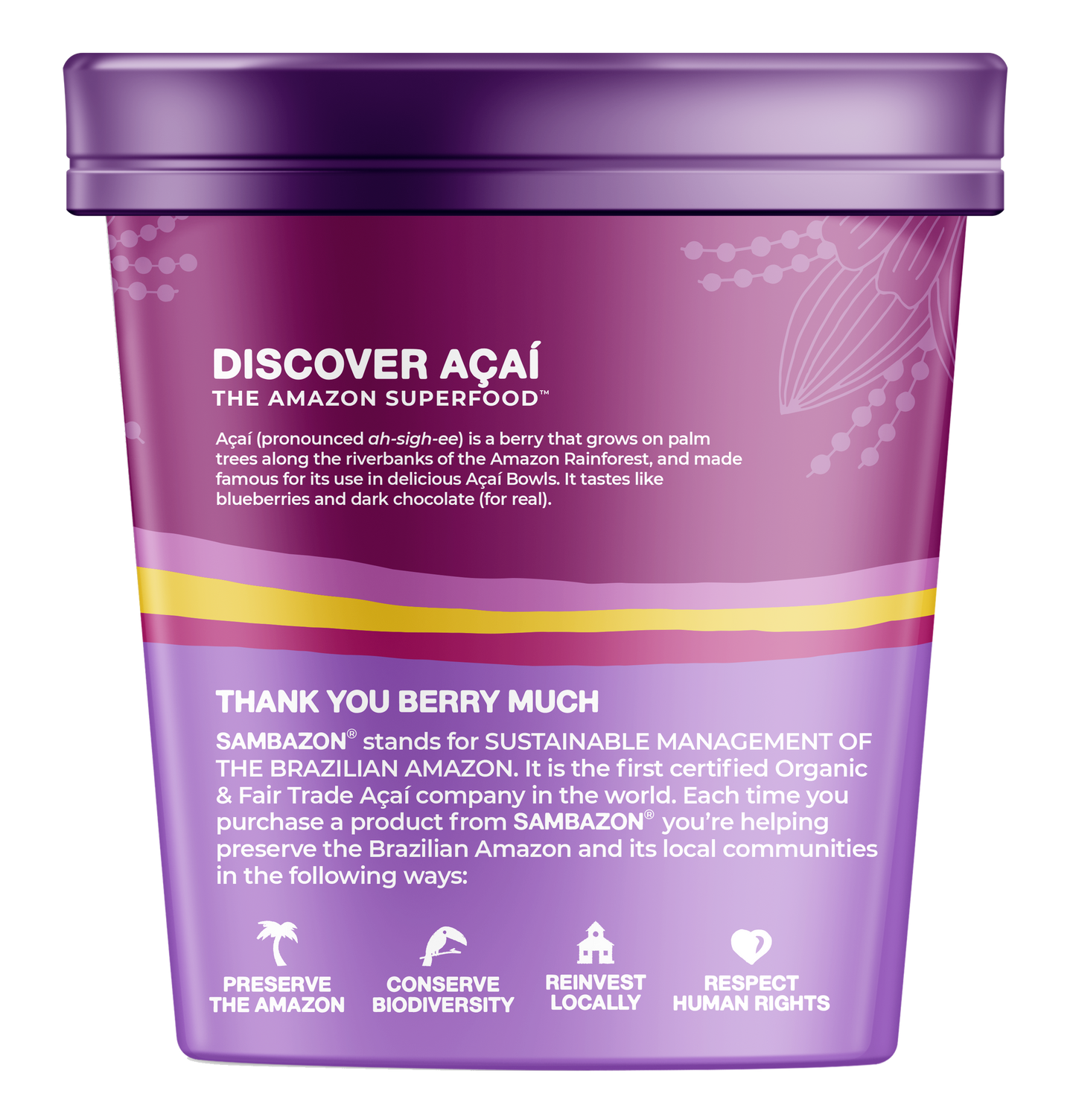 Sambazon Frozen Scoopable Açaí Sorbet 500ml