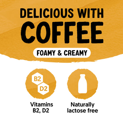 Alpro Barista Oat Vanilla 750ml, 100% Plant Based And Dairy Free, Suitable For Vegans, Naturally Free From Lactose, Rich In Nutrients