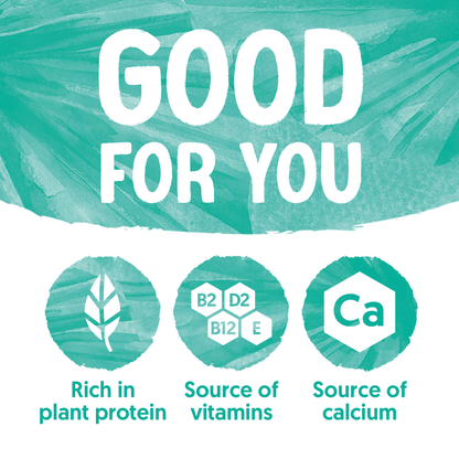 Alpro Drink Coconut Original Dual Pack (1l x 2), 100% Plant Based And Dairy Free, Suitable For Vegans, Naturally Free From Lactose, Rich In Nutrients