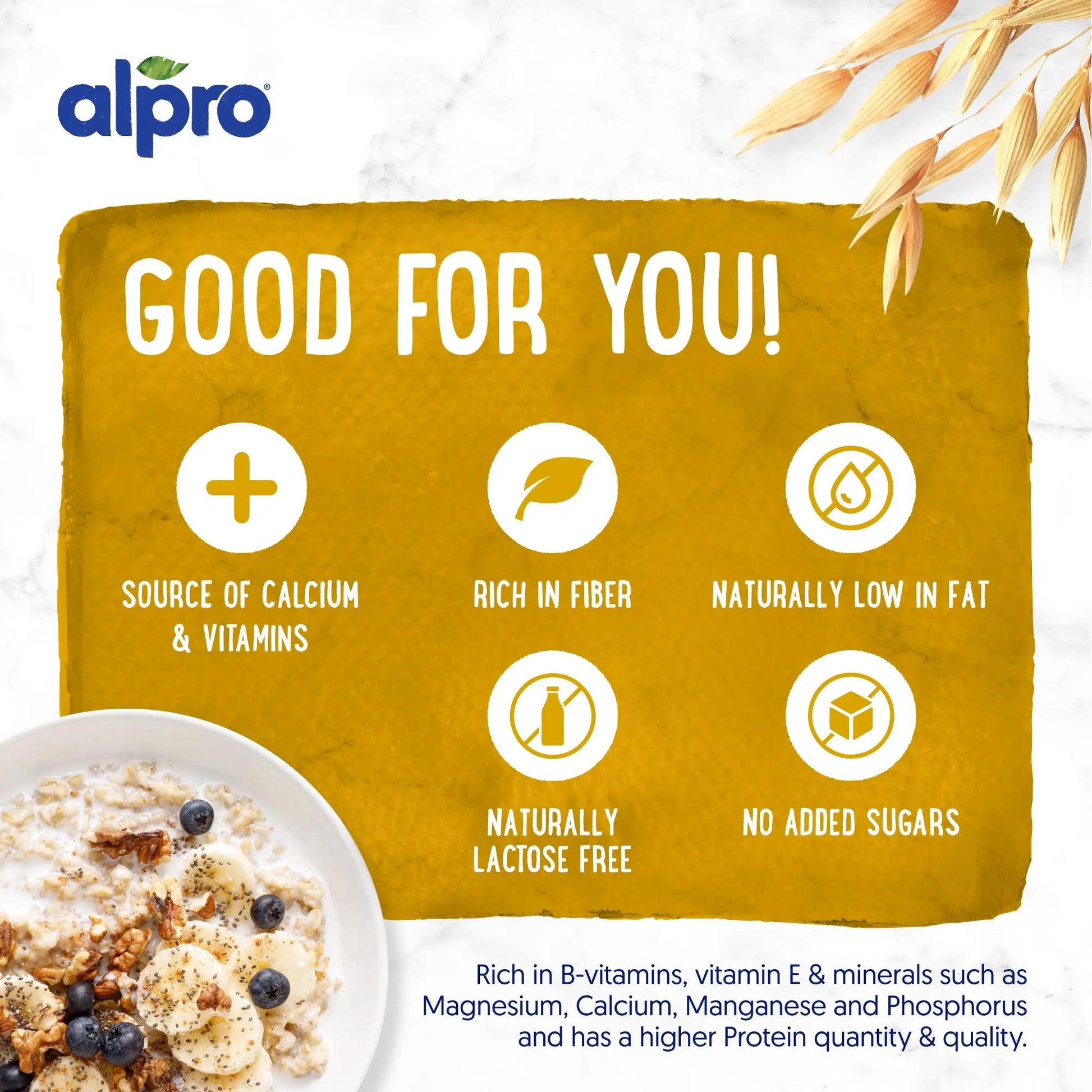 Alpro Oat Drink 1L, 100% Plant Based And Gluten & Dairy Free, Suitable For Vegans, Naturally Free From Lactose, Rich In Nutrients Alpro