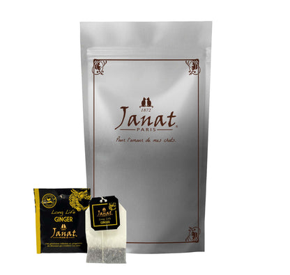 Janat Professional Series Ziplock Long Life Ginger 100 Tea Bags