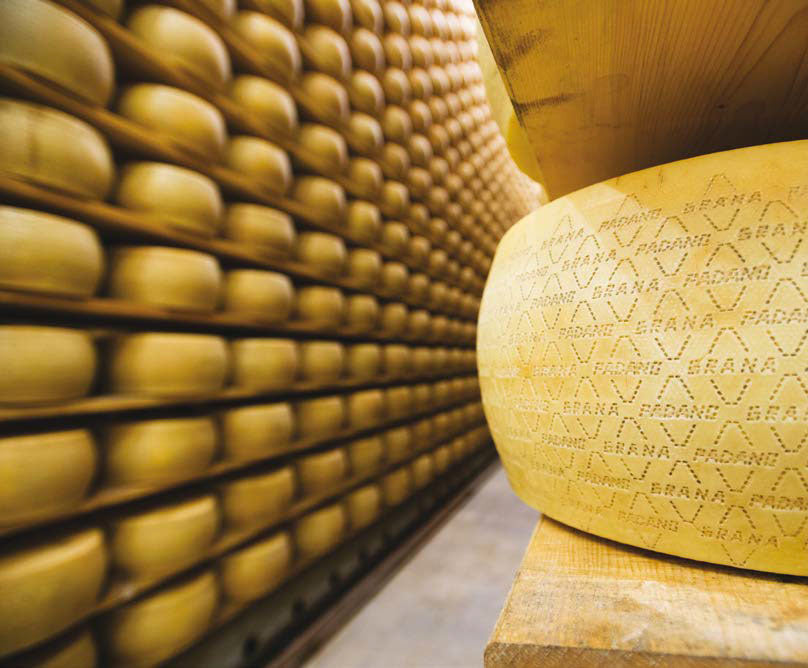 Monti Trentini Parmigiano Reggiano Cheese 1/8 Wheel-18 months aged (4-6 Kg) (Chilled)