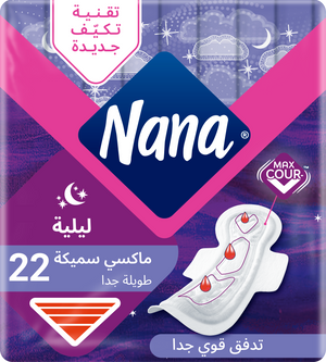 Nana Maxi Night Wings (22pcs)